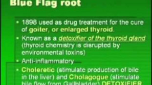 Thyroid Supporters: The Botanical and Nutriceutical Approach to Thyroid Support