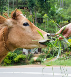 Riordan Clinic | Functional & Integrative Medicine | Wichita KS