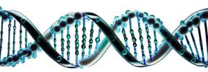 Digital illustration of a DNA double helix structure in blue tones symbolizing genetic research and biotechnology advancements.